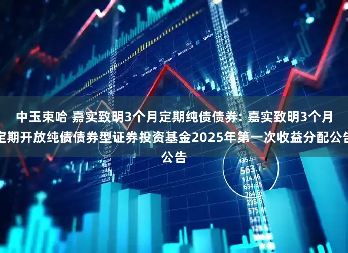 中玉束哈 嘉实致明3个月定期纯债债券: 嘉实致明3个月定期开放纯债债券型证券投资基金2025年第一次收益分配公告