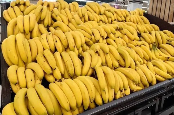 天源国际 经常吃香蕉对肠胃好吗？医生：或有这4种变化悄然发生